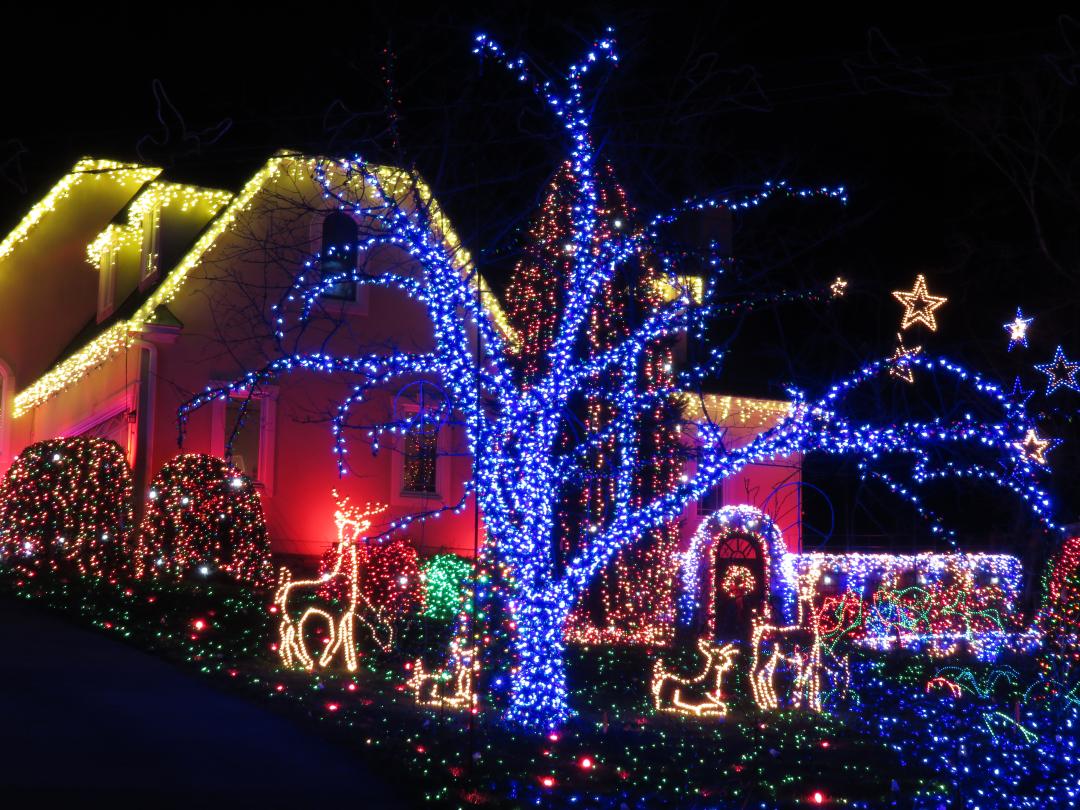 4 stunning themes for decorating driveways at Christmas