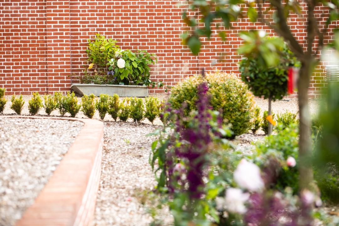 7 steps to planning your front garden
