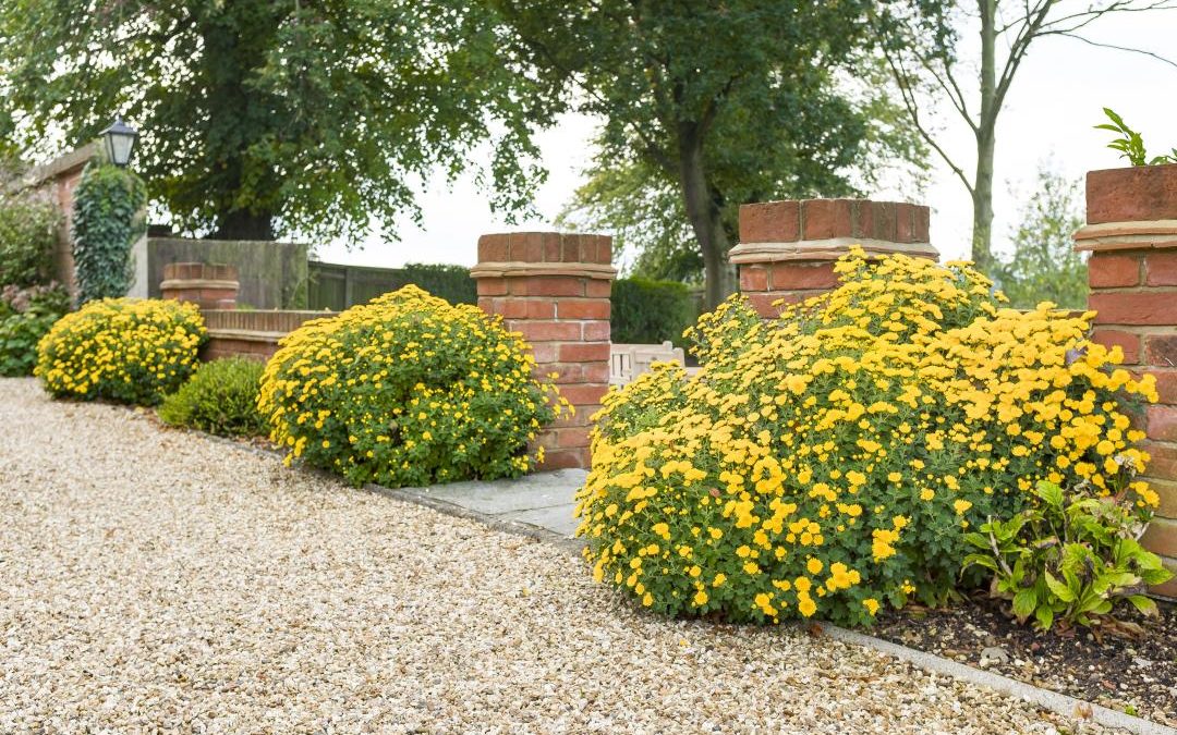 Gravel driveway ideas – inspiring planting schemes