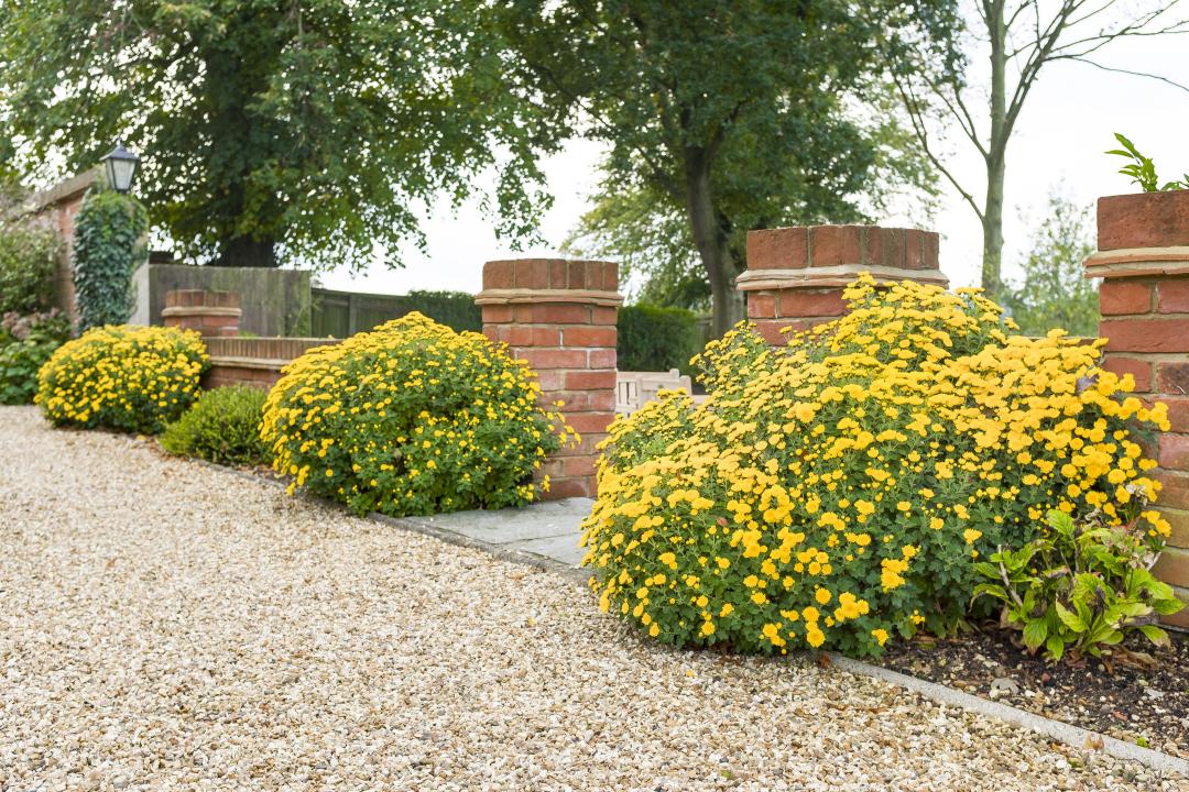 Gravel driveway ideas – inspiring planting schemes