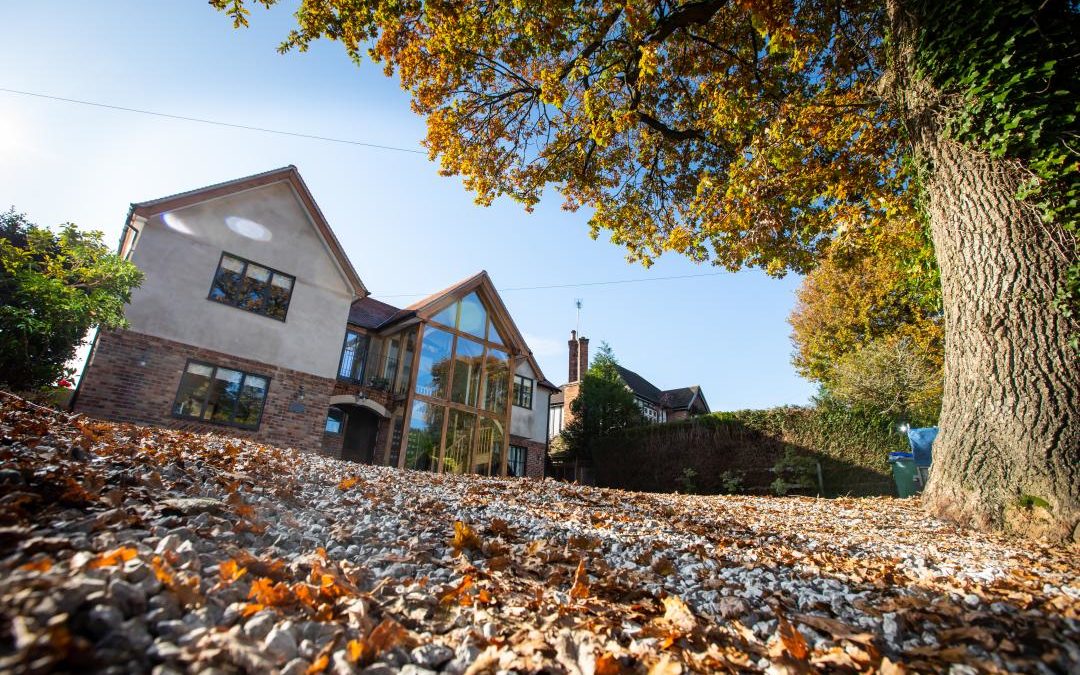 Tree root protection on driveway resurfacing projects